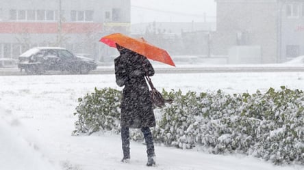 Снег и шквальный ветер — какая погода будет в Украине сегодня - 290x166