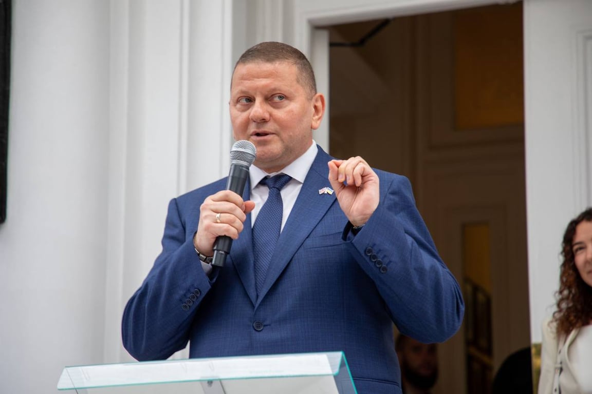 Валерій Залужний. Фото: Валерій Залужний/Telegram