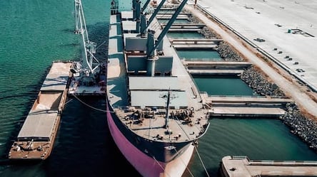 Дунайское пароходство в Одесской области экспортировало рекордную партию зерна - 285x160