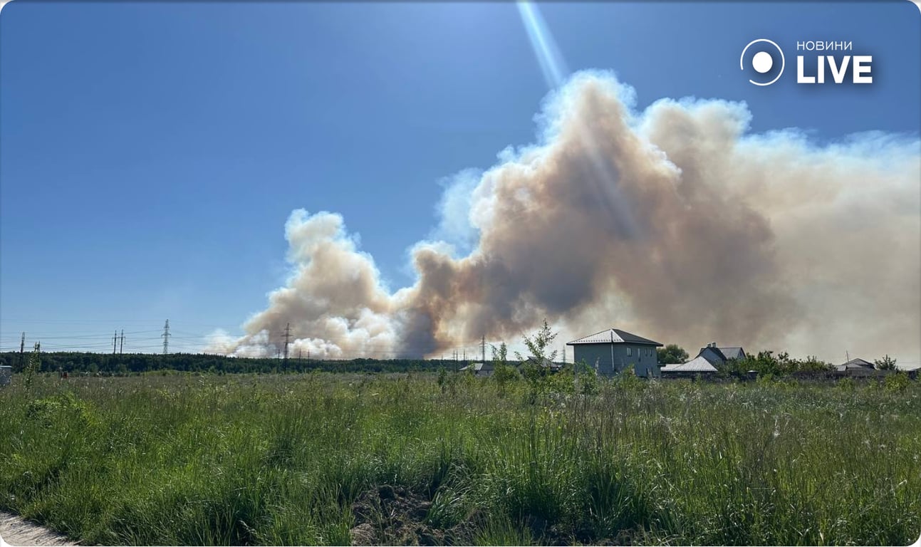 пожар под Киевом