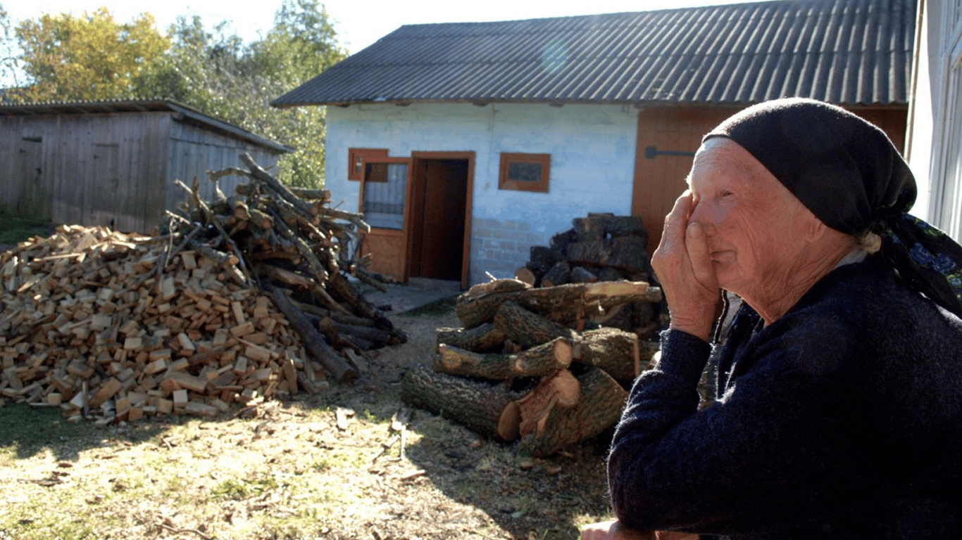 Спроба заощадити може мати наслідки: чому не варто купувати дрова "з рук"