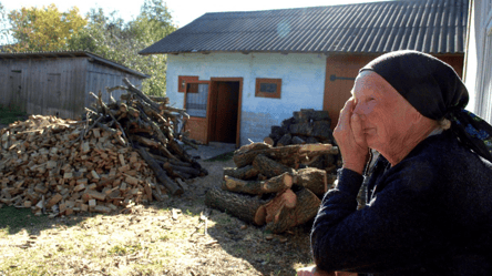 Сэкономить получается не всегда: почему не стоит покупать дрова "с рук" - 285x160