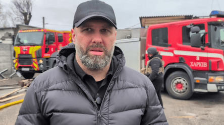 Атака дронів на Харків — стало відомо про постраждалих - 285x160