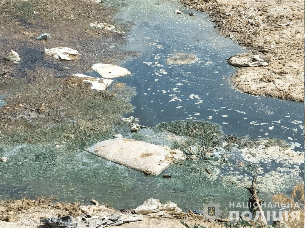 Предприятие в Киевской области нанесло окружающей среде ущерб на сумму более миллиона гривен