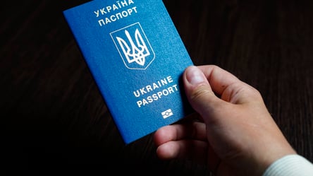 Отказ от защиты в Польше: украинцы массово покидают страну - 285x160