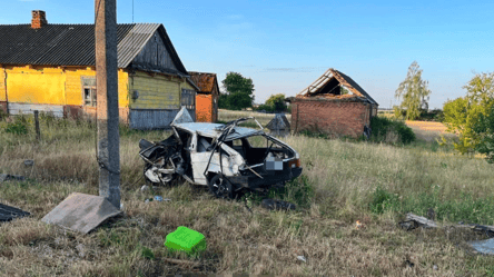 На Волині пʼяний водій спричинив ДТП: загинули двоє людей - 285x160