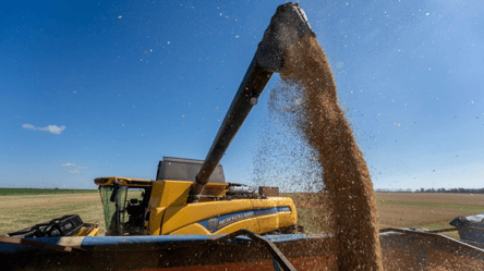 Налоги на экспорт зерна в Украине — как правительство борется с уклонением от платы - 285x160