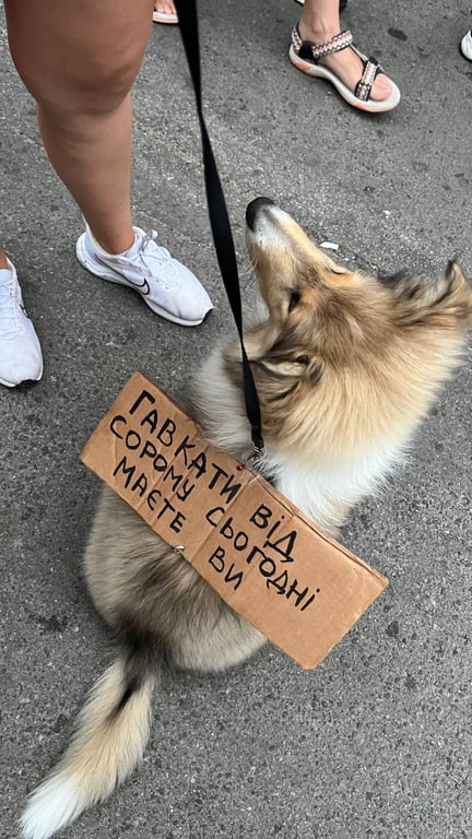 Собака Александры на митинге в Киеве 19 июля 2026 года