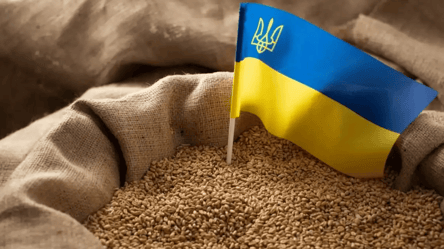 Еврокомиссия снимает эмбарго на поставки украинского зерна - 285x160