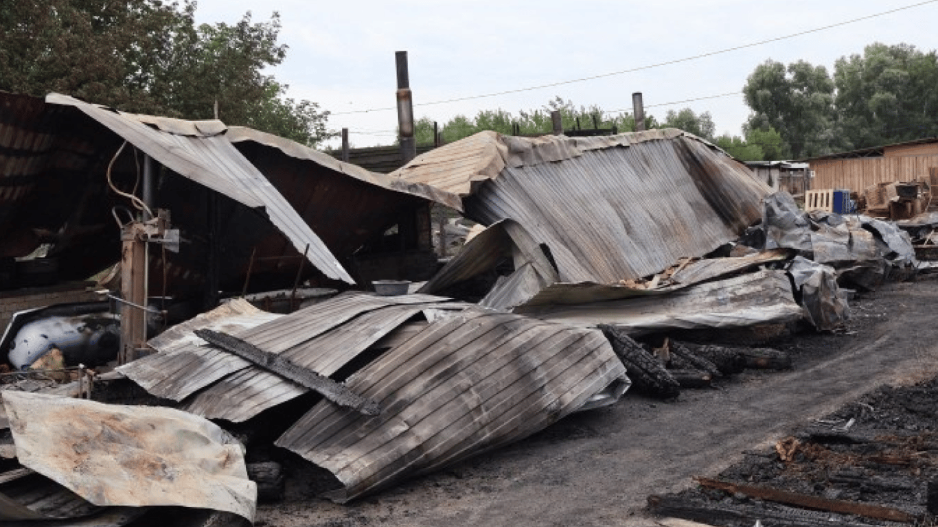 На Київщині сталася пожежа у притулку "Сіріус": загинули вісім собак
