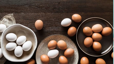 Пять простых рецептов из яиц — идеи для завтрака - 290x166
