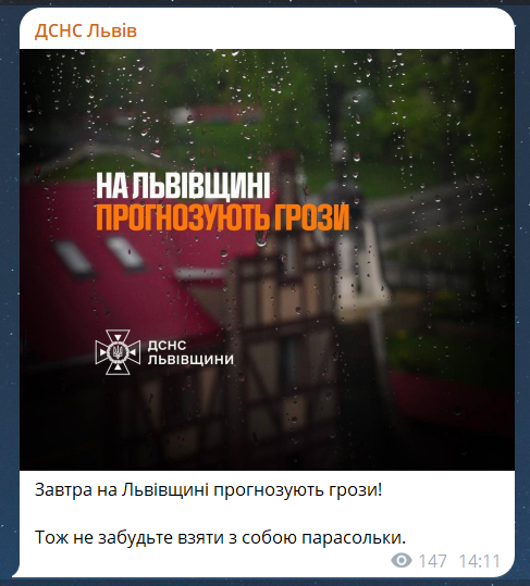 Наслідки бурі у Львові 14 липня