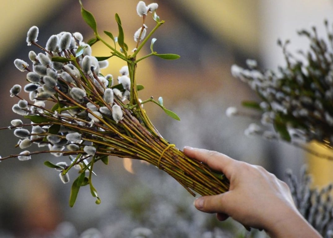 Як правильно вітатися у Вербну неділю — українські традиції