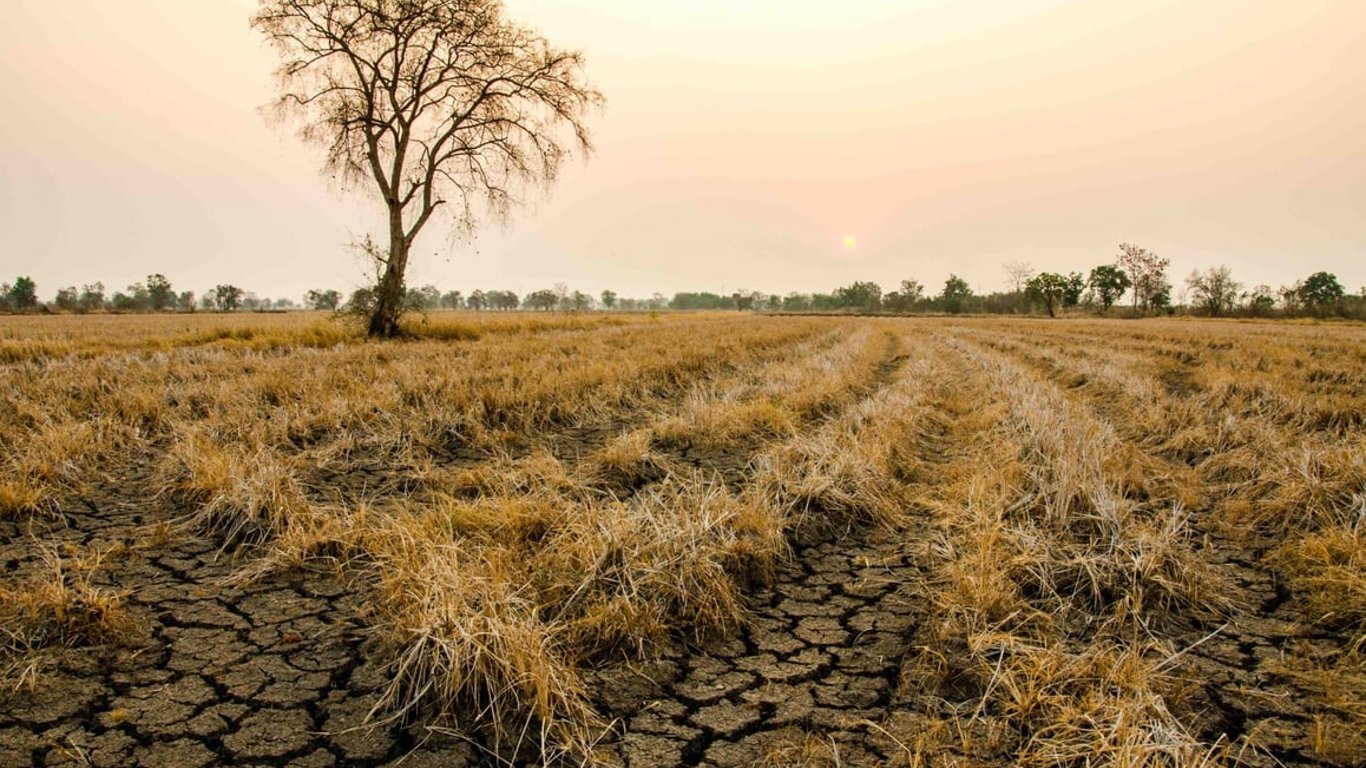 "Раптові посухи" небезпечніші за сезонні: вчені розповіли чому