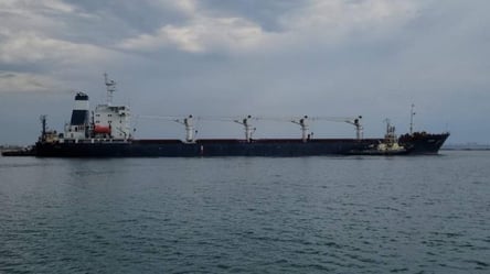 Робота портів Великої Одеси — скільки експортували зерна у листопаді - 285x160