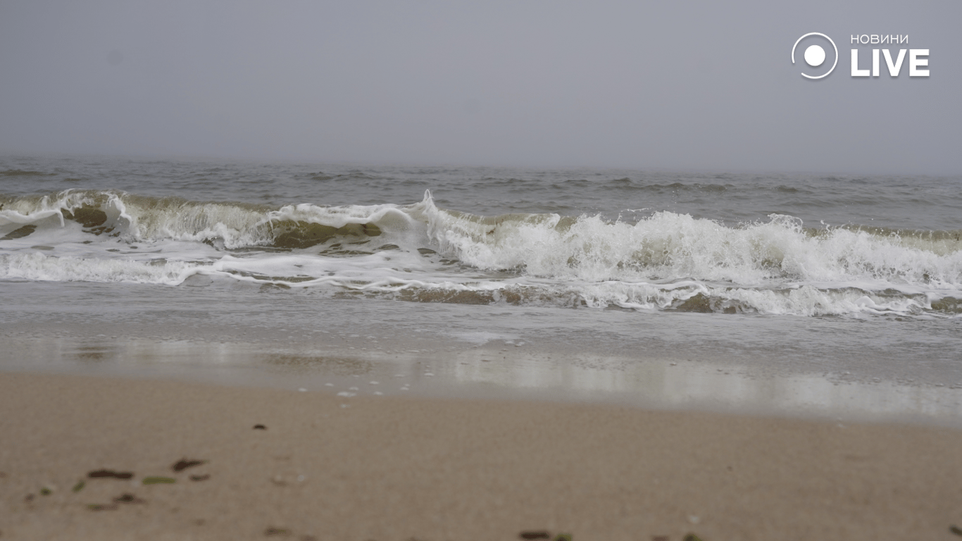 Побережье Черного моря