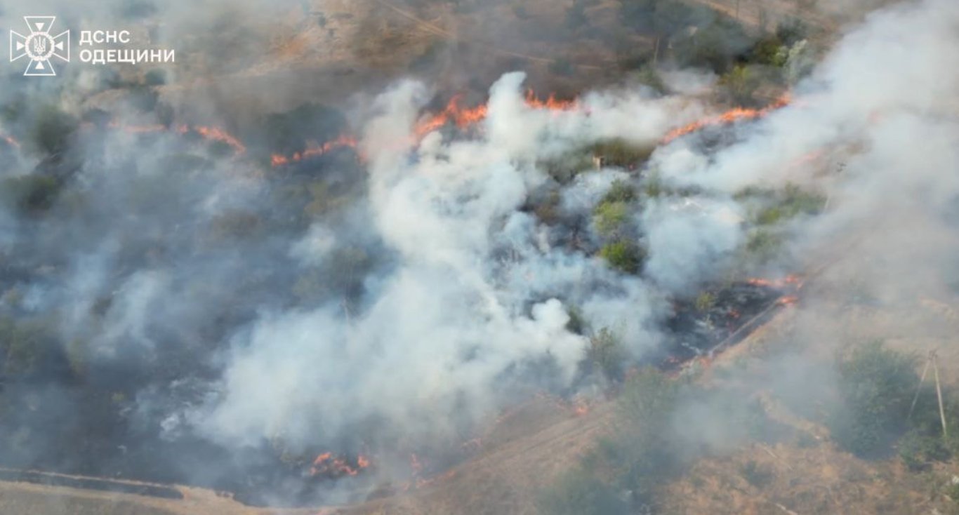 Огонь на Одесчине уничтожил более 20 гектар земли — ГСЧС сообщили детали пожаров - фото 2