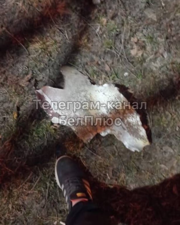 Уламок снаряда в Бєлгородській області