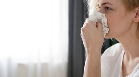 Сезон тополиного пуху — як убезпечитись від алергії та інших неприємностей - 285x160