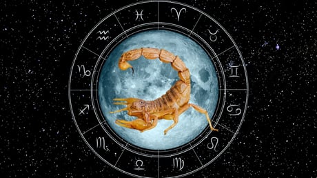 Scorpio horoscope 2026 — what to expect in finance, career and love | Novyny.live