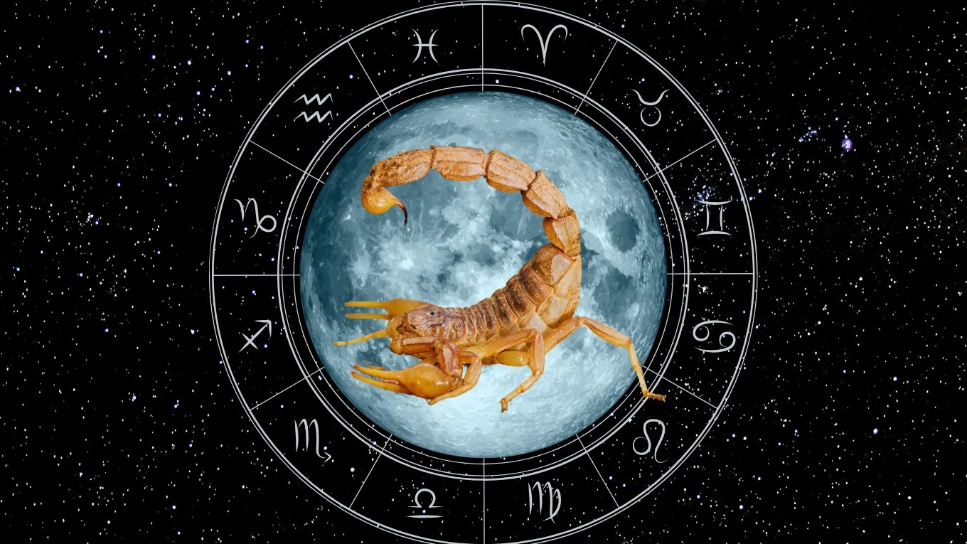 Гороскоп карьеры на 2026 год для Скорпионов