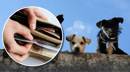 Большие штрафы и конфискация: что грозит владельцам животных в апреле - 285x160