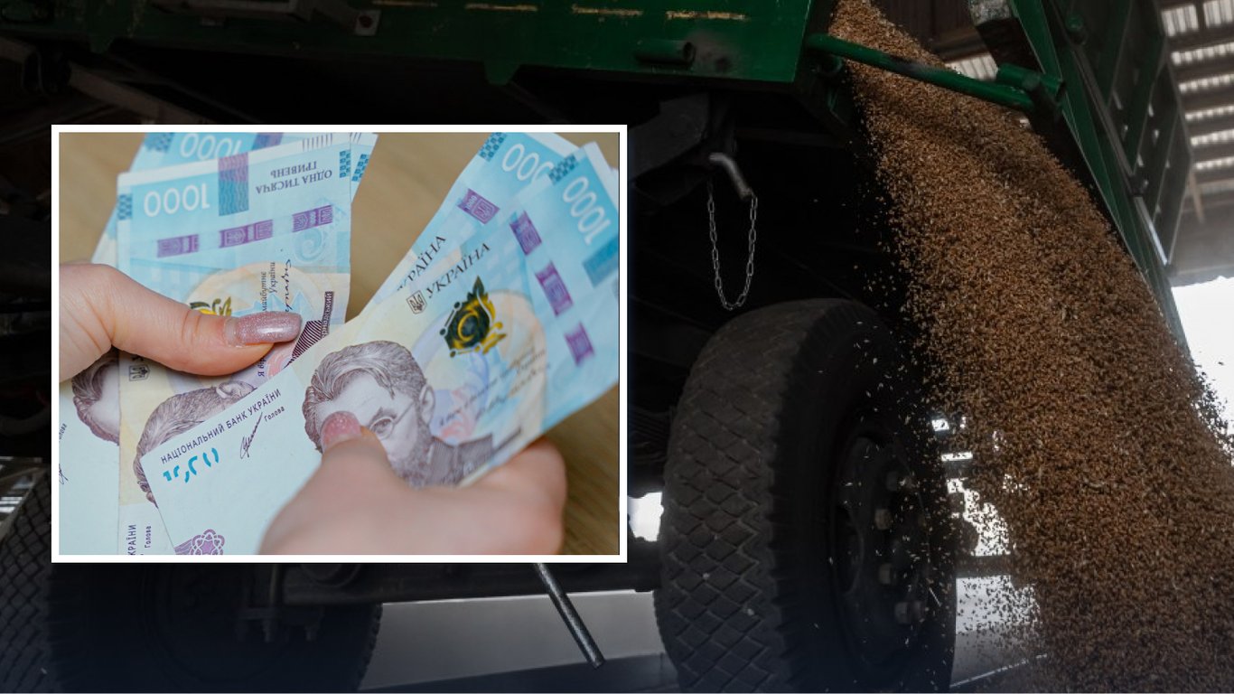 Ціни на зерно в Україні: з яких причин пшениця стала дешевшою на 200 гривень
