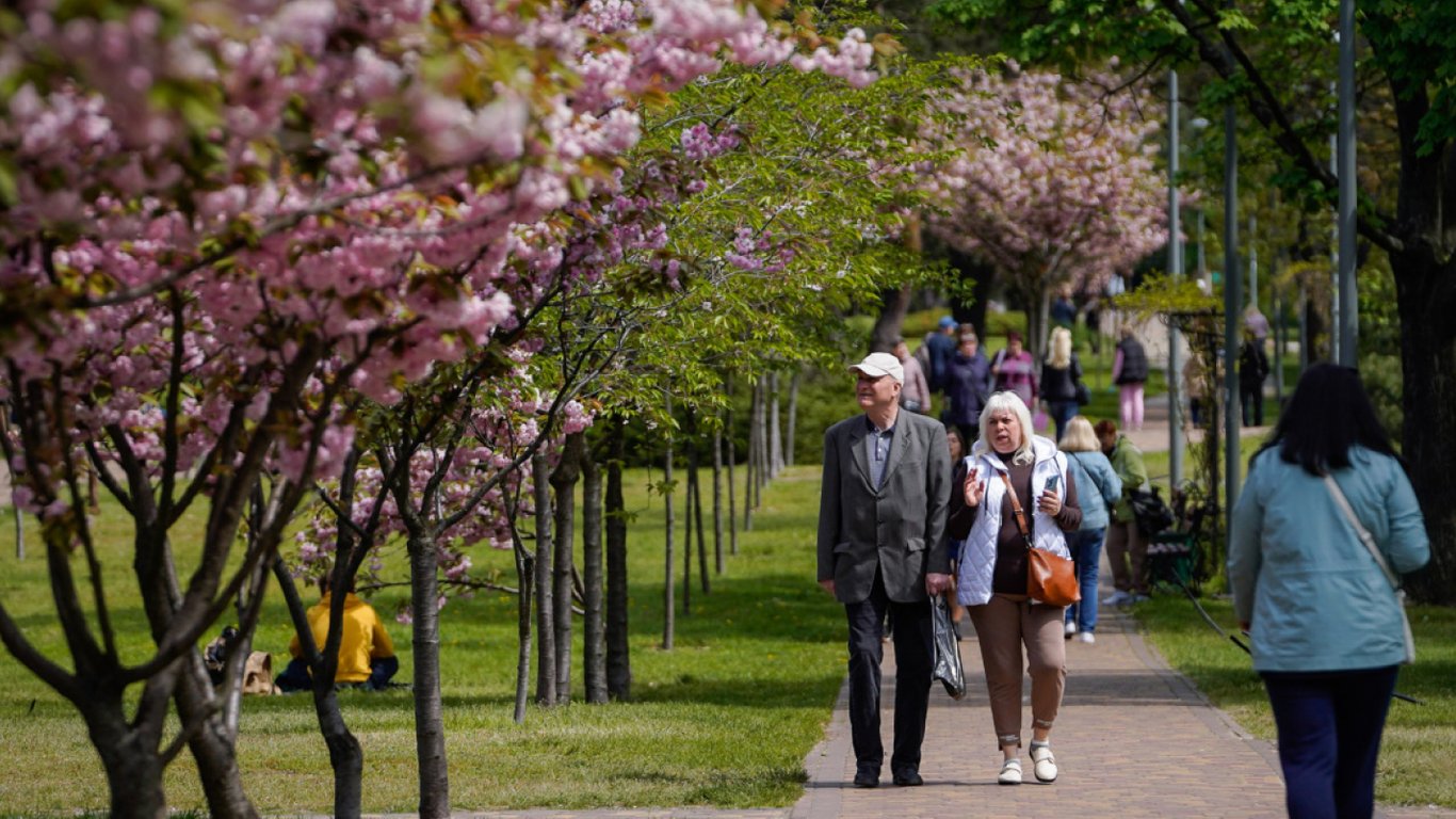 Пенсіонери можуть отримати виплати за шість місяців — які умови