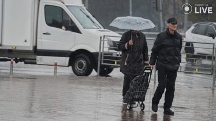 Народный синоптик Наталья Диденко назвала регионы, которые завтра накроет холодный весенний дождь - 285x160