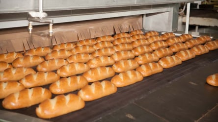 На Одещині зупинили роботу хлібзаводу, що пече для військових та шкіл - 285x160