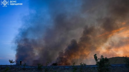 На Одещині декілька діб вирує вогонь — густий дим дістається Молдови - 290x166