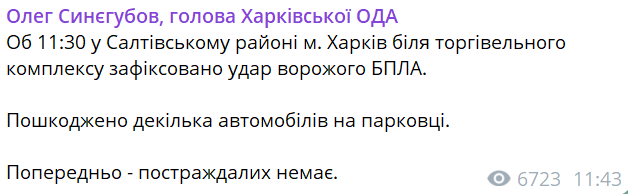 Допис Синєгубова