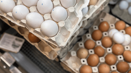 Нові ціни на яйця в супермаркетах — що сталося на початку року - 285x160