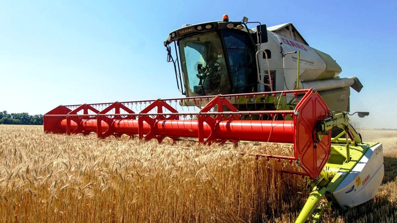 Ціни на зернові в Україні станом на 7 жовтня 2023