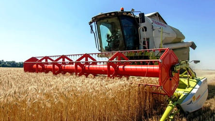 Цены на зерно в Украине: сколько стоит пшеница в октябре - 285x160