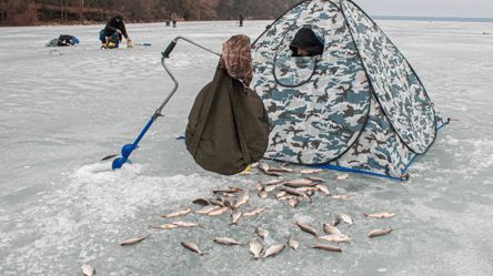 Рибалка у 2026 році — чи оштрафують за спробу продати свій улов - 285x160