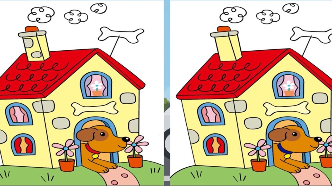Оптическая головоломка: проверьте, кто быстрее найдет отличия между рисунками, вы или ваши дети