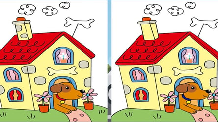 Веселая головоломка для детей и взрослых — найдите три отличия между рисунками - 285x160