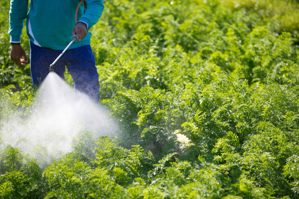 Опрыскивание растений