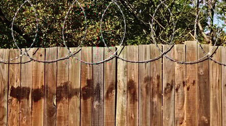 Каким должен быть забор между соседями — нормы в 2025 году - 285x160