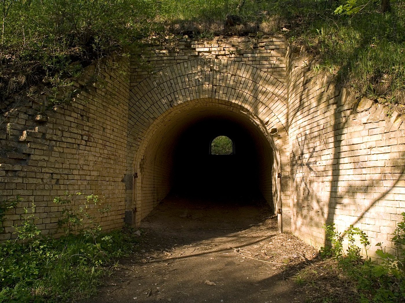 Лиса Гора, Київ