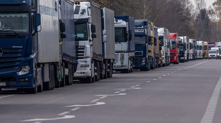 Блокада кордону з Польщею — в ДПСУ назвали кількість вантажівок - 285x160