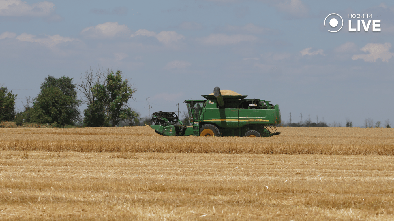 Комбайн збирає зерно 