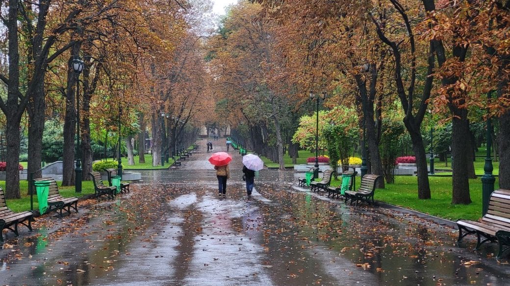 Люди в парке во время дождя