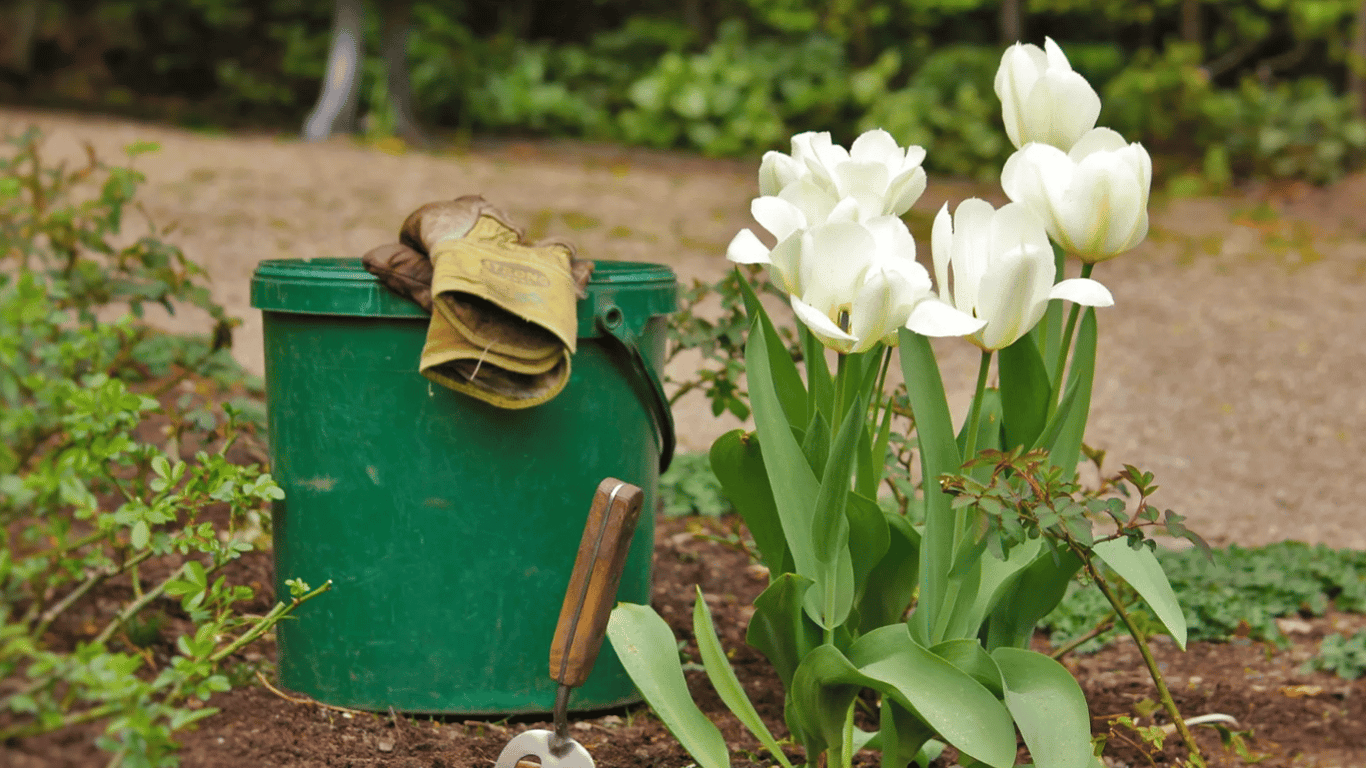 Для чого закопувати старе відро на городі — неймовірна користь для рослин