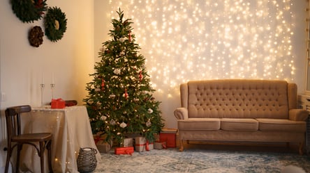 Каким деревом заменить елку — лучшие альтернативы для дома - 285x160