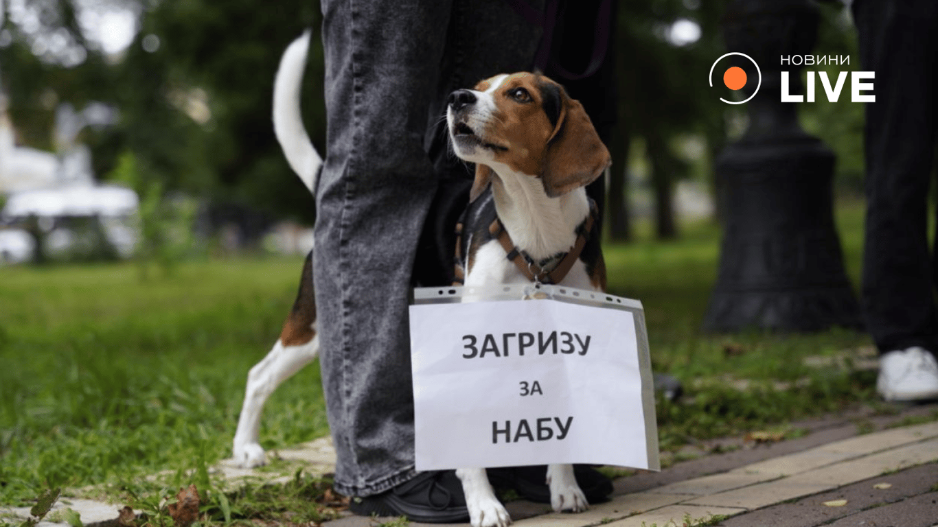 Акція в Києві 31 липня