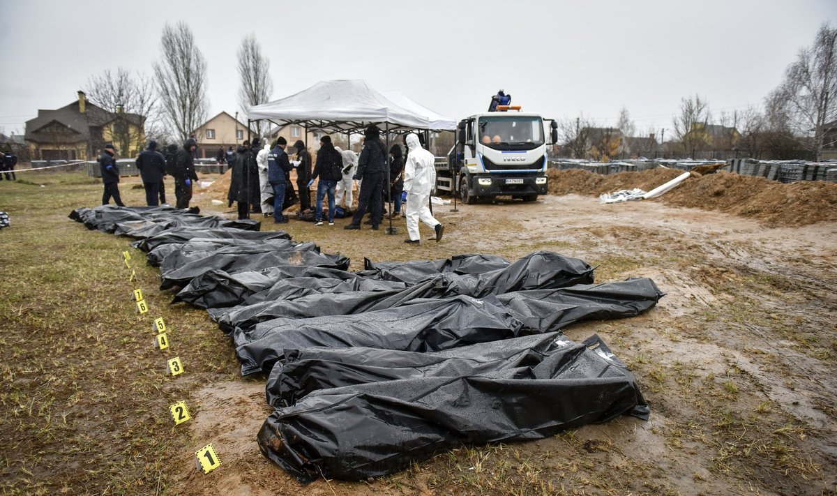 Екзгумація тіл в Бучі. Фото: Google