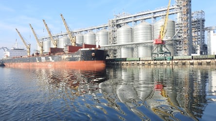 "Зерновое соглашение": присоединение Николаевского порта опасно - 285x160