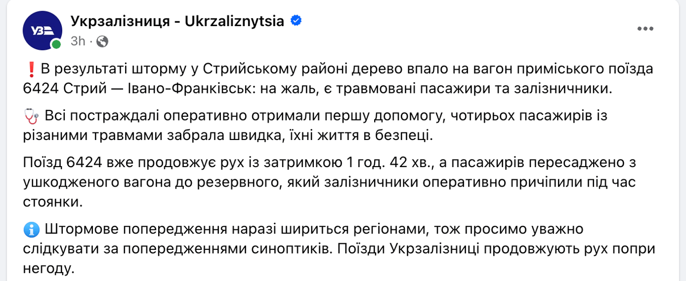 Укрзализныця упало дерево